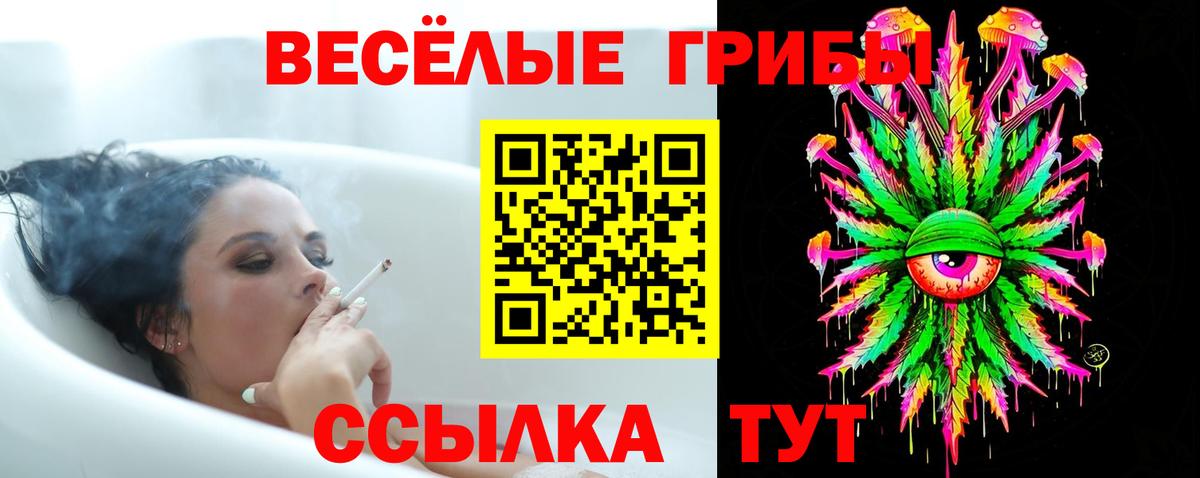 Псилоцибиновые грибы Cubensis  Галлюциногенные грибы MAGIC MUSHROOMS  Кольчугино  сколько стоит  Вход с VPN 