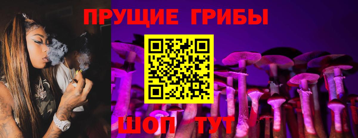 Псилоцибиновые грибы MAGIC MUSHROOMS Кольчугино
